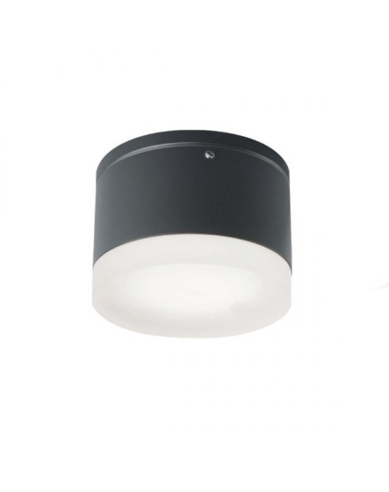 Vanjska stropna/zidna dekorativna valjkasta tamno siva svjetiljka SR2004D